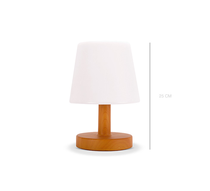 Lampe de Table sur pile LED blanc chaud H22cm - Lampe D'extérieur