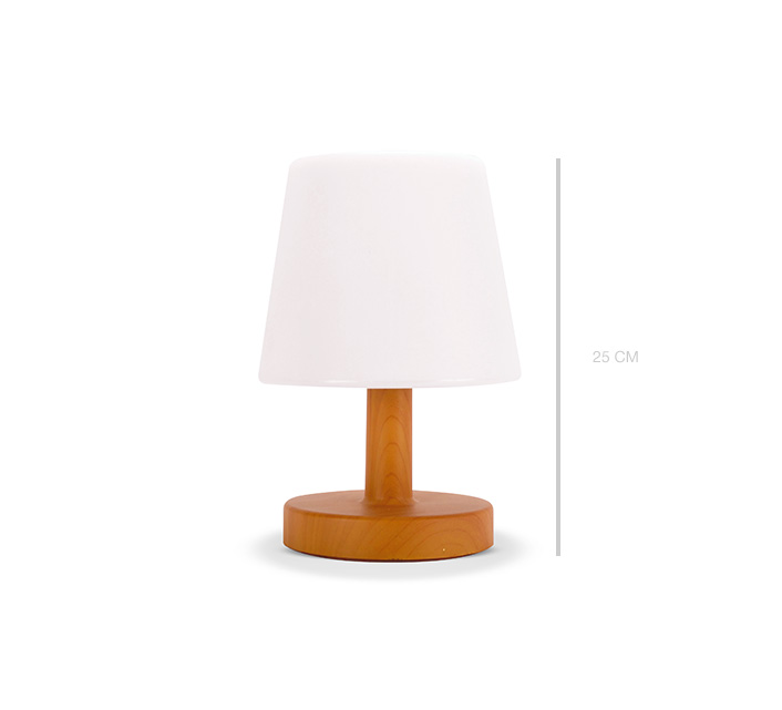 Lampe de Table sur pile LED blanc chaud H22cm Lampe D'extérieur